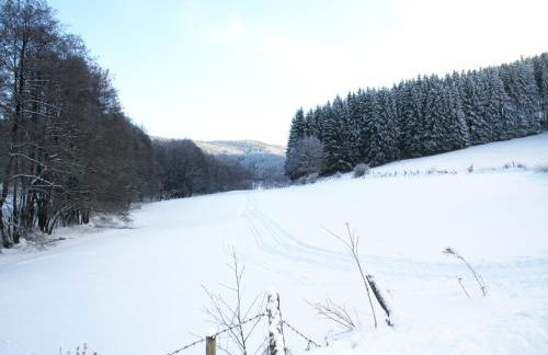 Ferienhaus Haus am Medebach - Foto 53