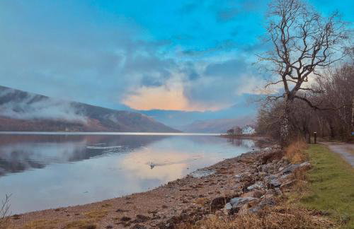 Seal Point Cabin - Luxury Glamping - Foto 29