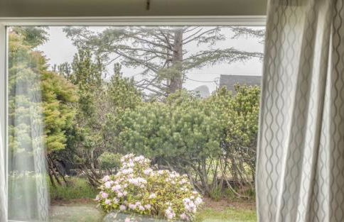 Camp Street Cottage - Meredith Lodging - Foto 8