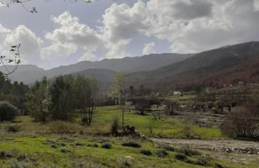 Lugar da Borralheira - Foto 50