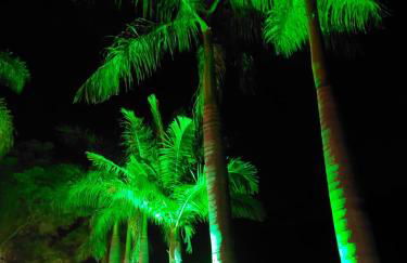 Casa aconchegante na roça c/ piscina/churrasqueira - Photo 28