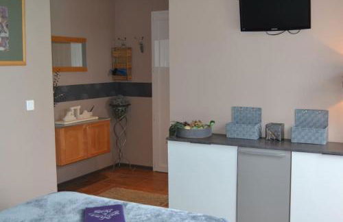 "POUR VOUS" studio dans villa avec piscine - Foto 3