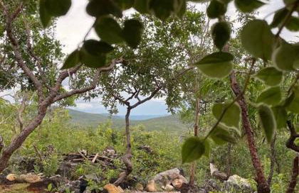 Casa Porto do Sol Vila de São Jorge - Foto 10