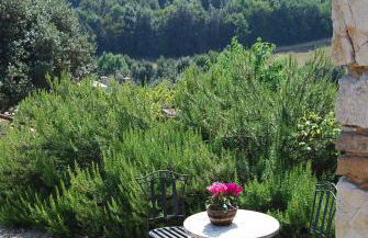 Podere Costa Romana - Foto 24