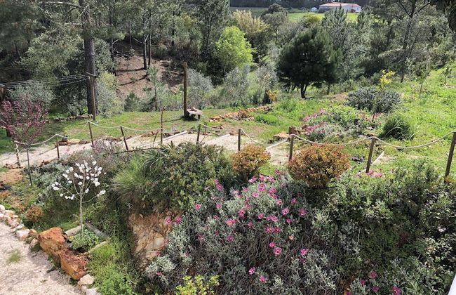 Quinta das Beldroegas - Casas de Campo - Photo 75