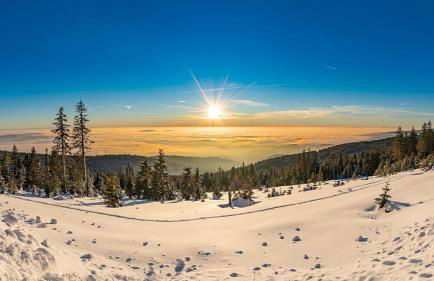 Ferienhaus Nr 20, Typ B, Feriendorf Jägerpark, Bayerischer Wald - Foto 29