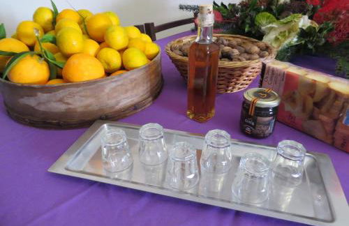 Quinta Machado Da Pedra Bela - Foto 7