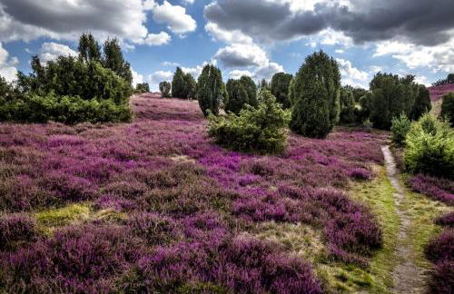 Ferienwohnung Heide View - Foto 21