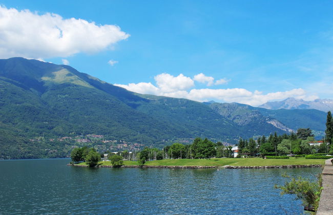 The Green House - Foto 54