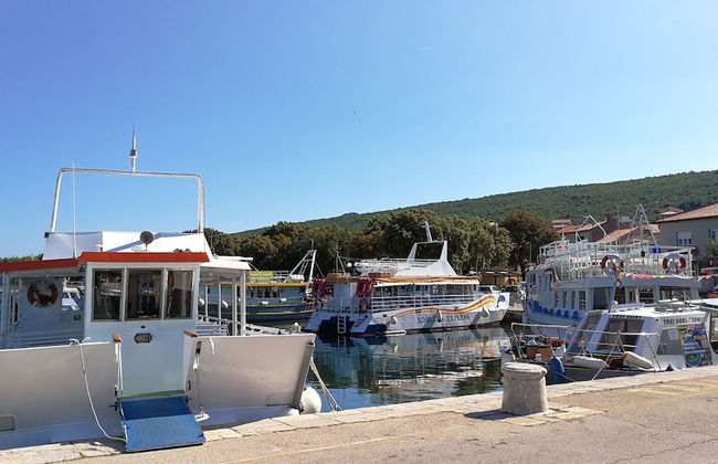 Apartments Valencic - Foto 19