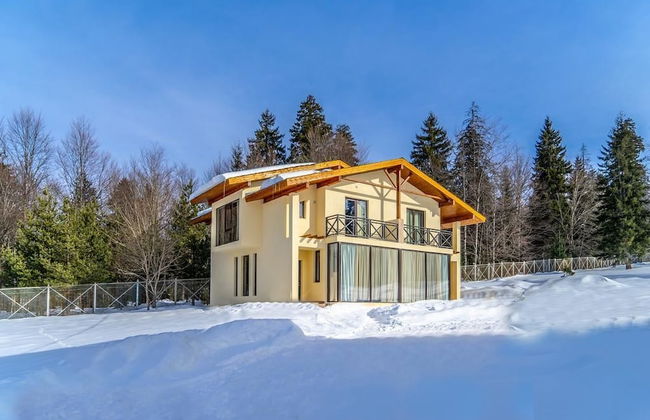 villa by sunexpress bakuriani - Foto 1