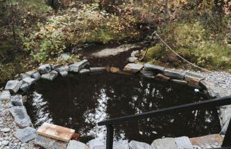 The TREE HAUS A Montana Tiny Cabin Forest Retreat - Foto 27