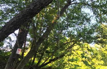 Rare River Views & Access, Cabin by Eden Islands - Foto 43