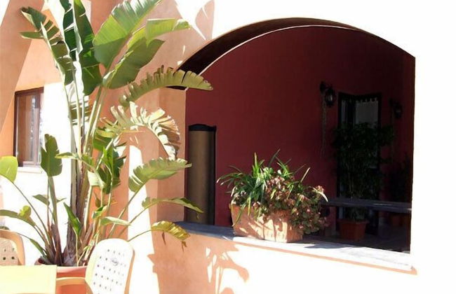 Le Terre di San Domenico - Photo 39