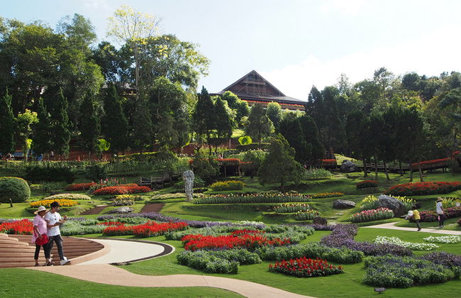 Dia Inteiro Doi Tung e Salão do Ópio - Foto 1