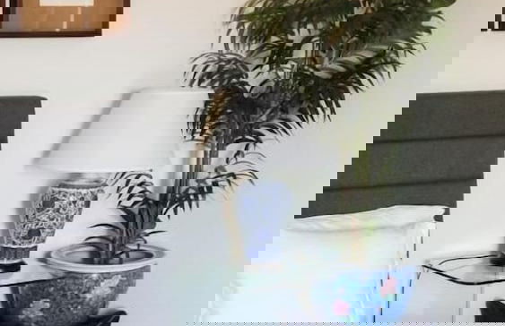 Casa do Cruzeiro - Foto 6