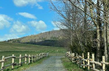 Pod Stromcem - Foto 25