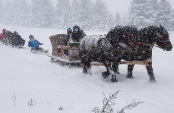 Apartament Wiejska Sielanka - Photo 36