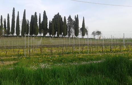 Casa Margherita - Foto 19