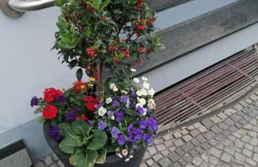 An der Bode - Foto 7