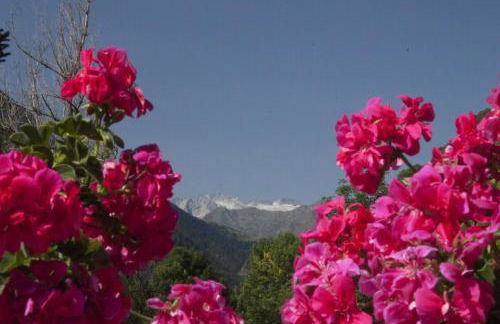 Apartamento con jardin en Gessa - Foto 8