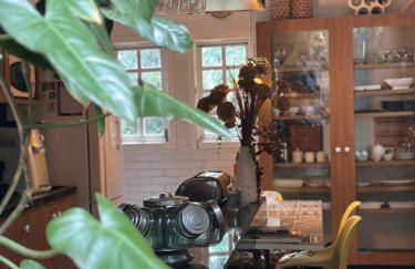 Flor da Serra - Foto 6