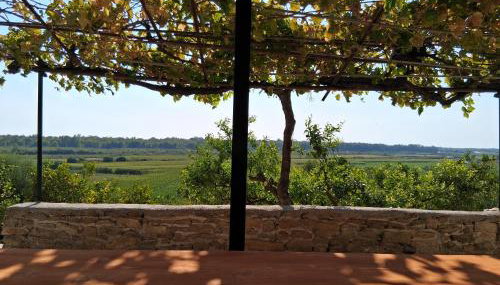 Theoni's Home - Foto 3