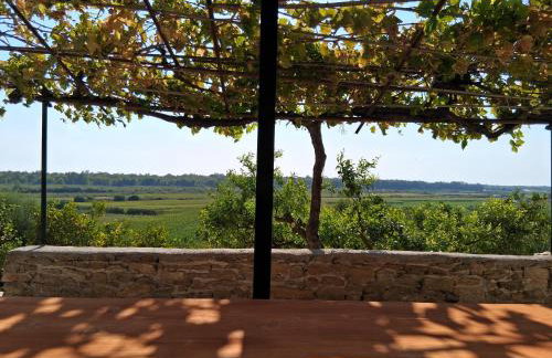 Theoni's Home - Foto 3