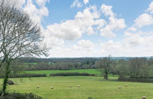 The Studio - Photo 15