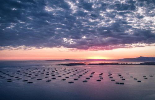 A casa da panadeira - Foto 40