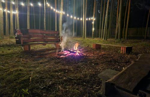 Leśna Osada Wieliszew - Foto 4