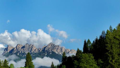 Chalet del Capriolo - Photo 4