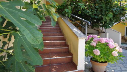 Apartman Marija - Foto 3