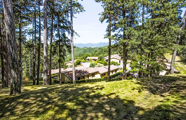 Cancelli trilo 4 persone - Foto 24