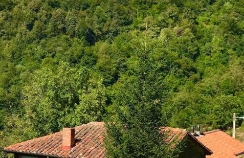 L'Aldeaperdida - Foto 14