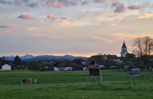 Ferienwohnung Lämmche, EG mit eingezäuntem Garten - Foto 48