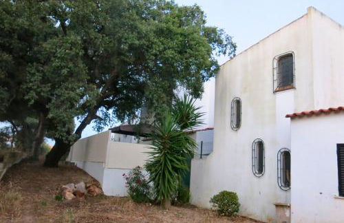 Casa das Flores - Foto 28