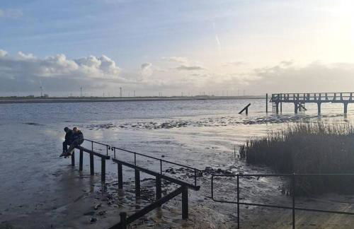 Deichperle - an der Eider - Foto 18