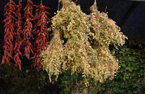 Agriturismo Tholos - Photo 61