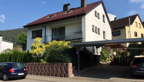 Romantisches Hirschhorn am Neckar - Foto 3