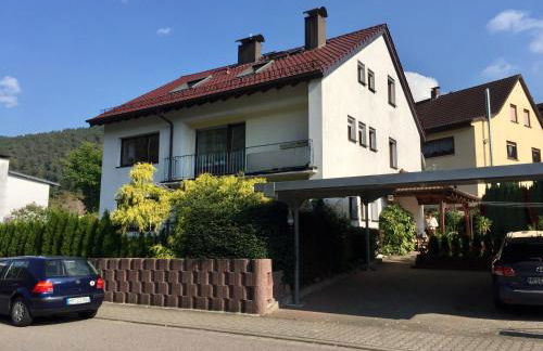 Romantisches Hirschhorn am Neckar - Photo 3