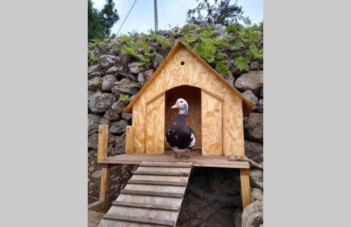 LA TAGORA Conect with the nature & relax - Foto 42