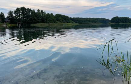 Ferienhaus Weisdin - Foto 11