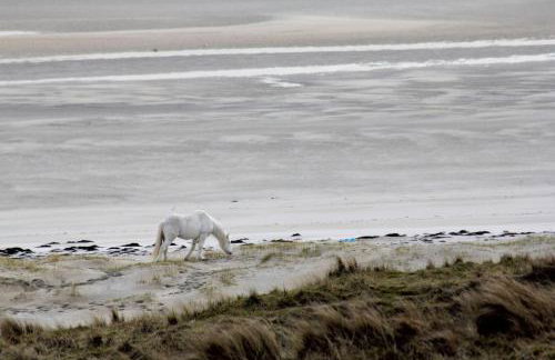 Otter Cottage - Foto 55