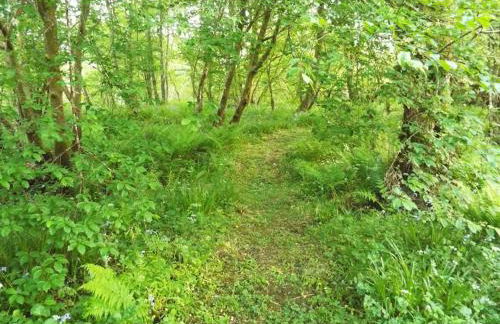 The Singing Heart, TirNaNog Cozy Cottage near Lochgilphead !!HIDDEN GEM!! - Foto 56