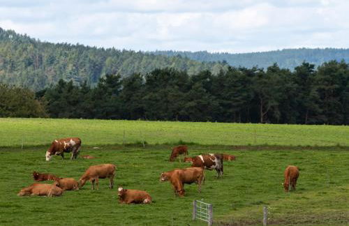 Moderne, gemütliche DG-Wohnung in ruhiger Lage - Foto 30
