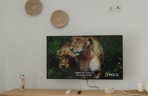 Naxian Purity - Foto 14