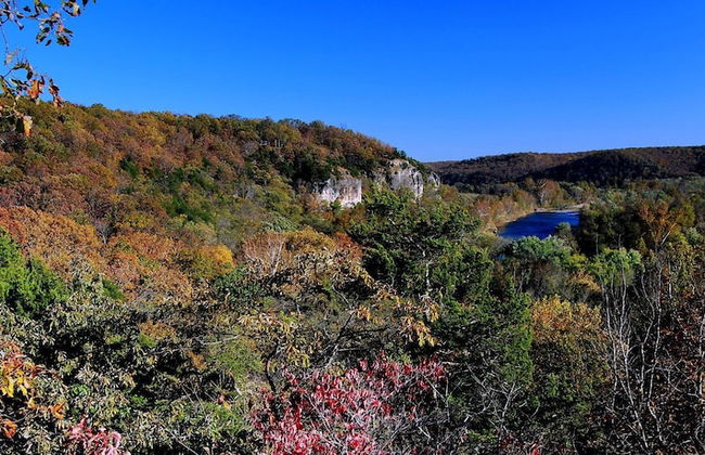 Rock Eddy Bluff Farm - Photo 43