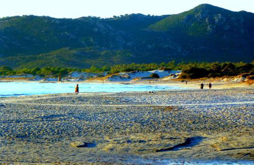 Comino Alto Agriturismo e Appartamenti - Foto 109