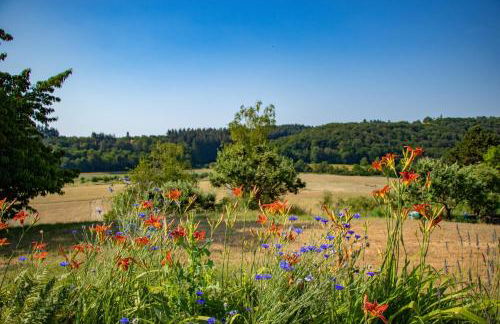 Weingut-Ferienwohnungen Lorenz - nur Urlaubsgäste - Foto 22